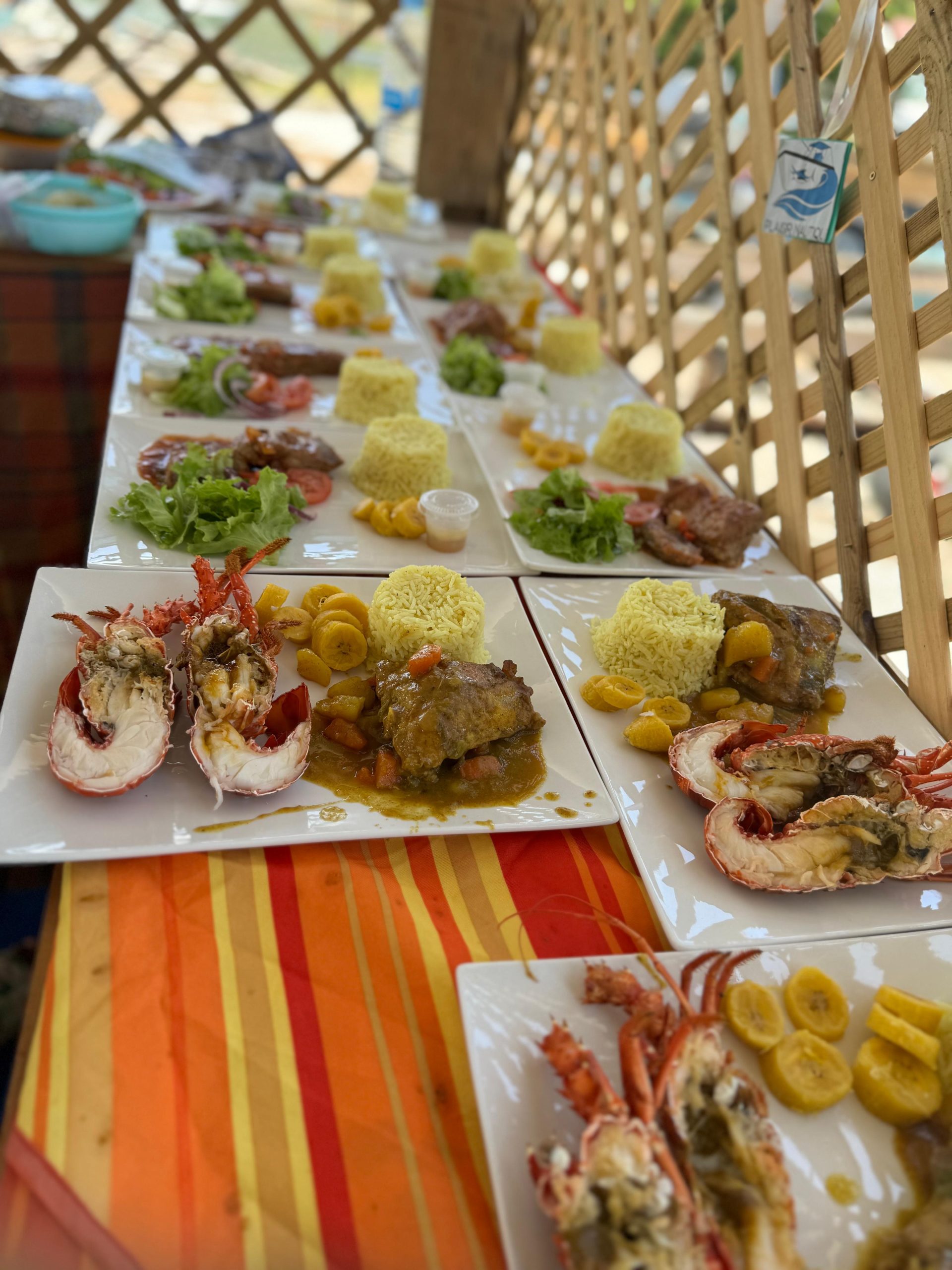 b572e9d1-494f-4a81-baf1-76b07ba6269d